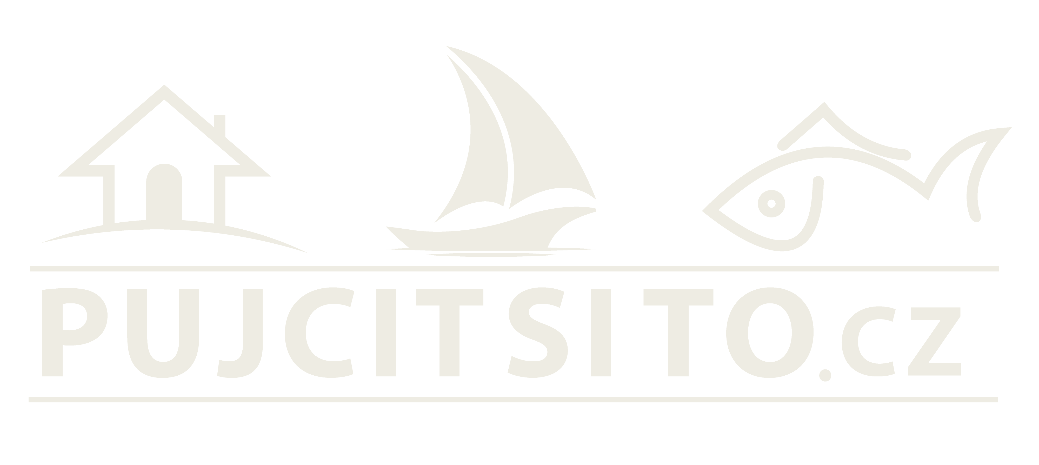 Logo Půjčit si to